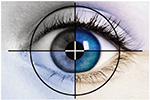 Due Diligence Eye