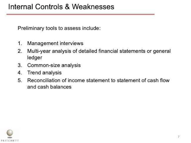 Internal Controls & Weaknesses