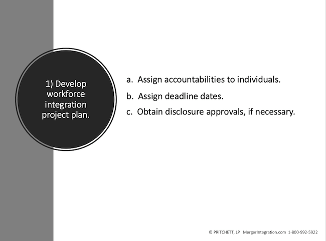1) Develop workforce integration project plan.