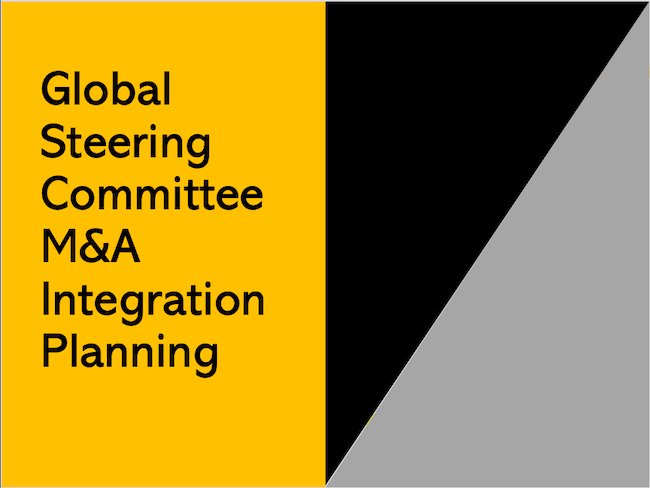Global Steering Committee M&A Integration Planning