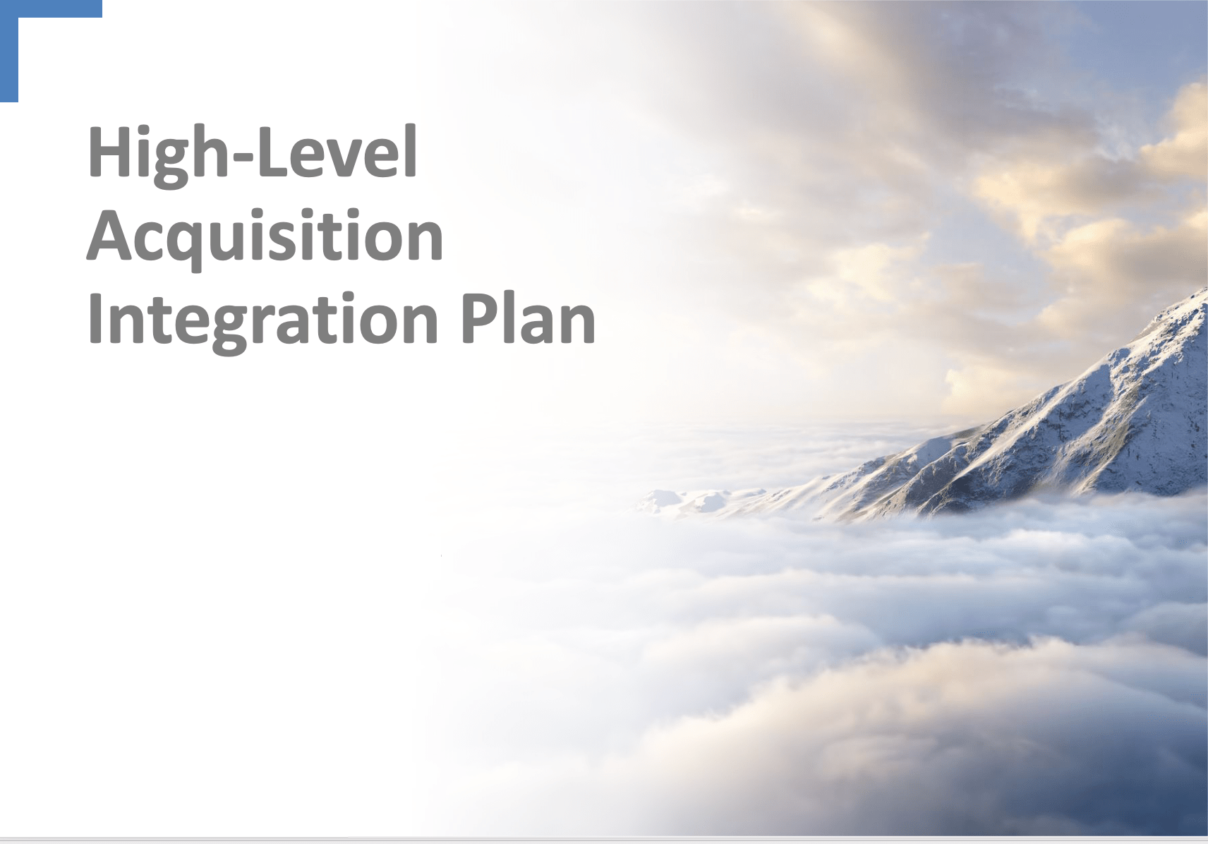 High-Level AcquisitionIntegration Plan