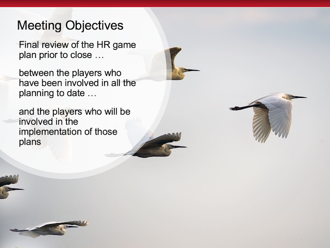 Meeting Objectives