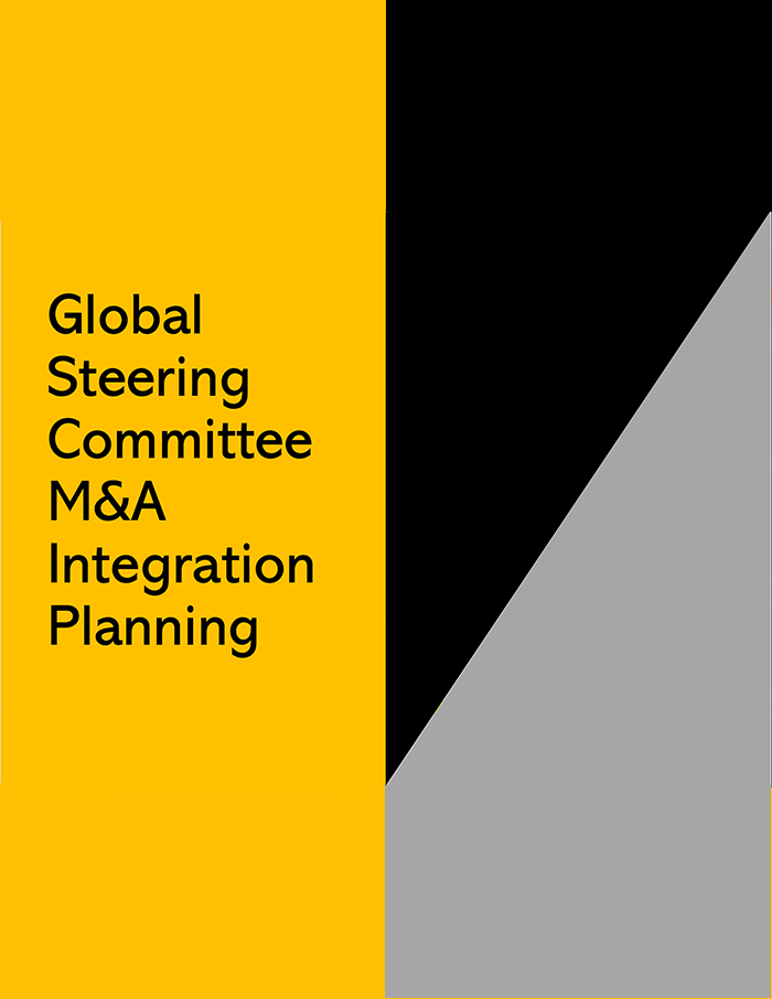 Global Steering Co