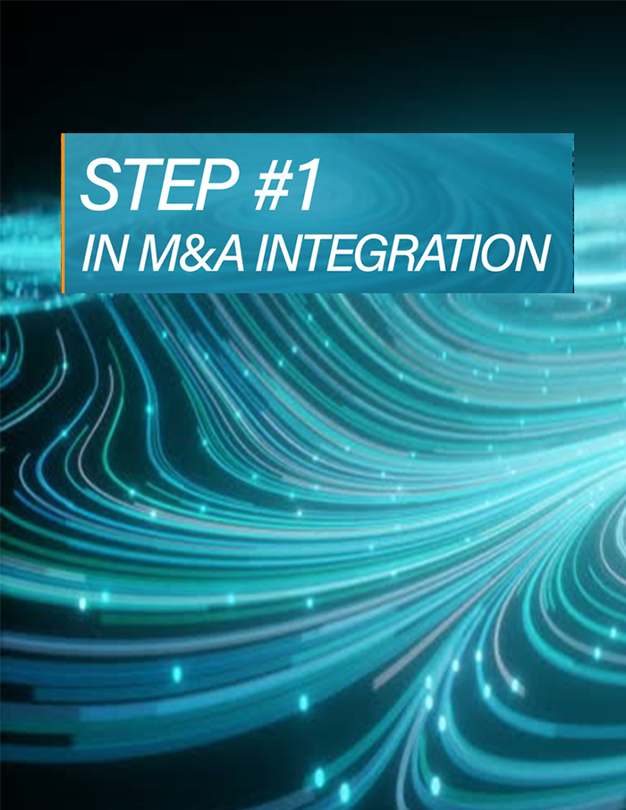 Step 1 M&A Integration