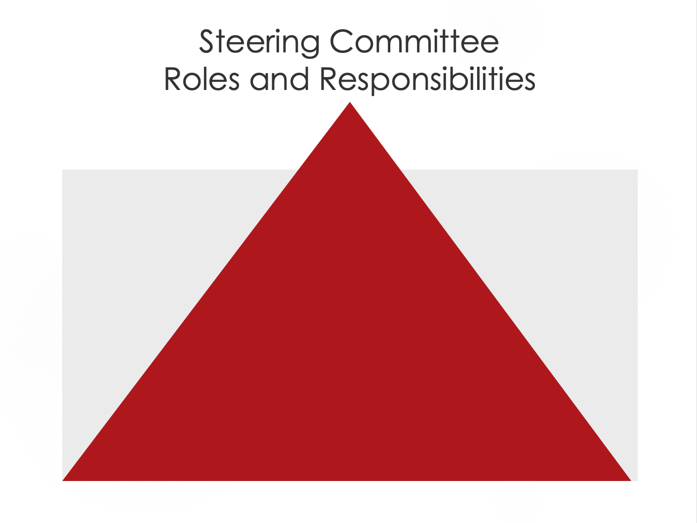 Steering Committee Roles and Responsibilities 1