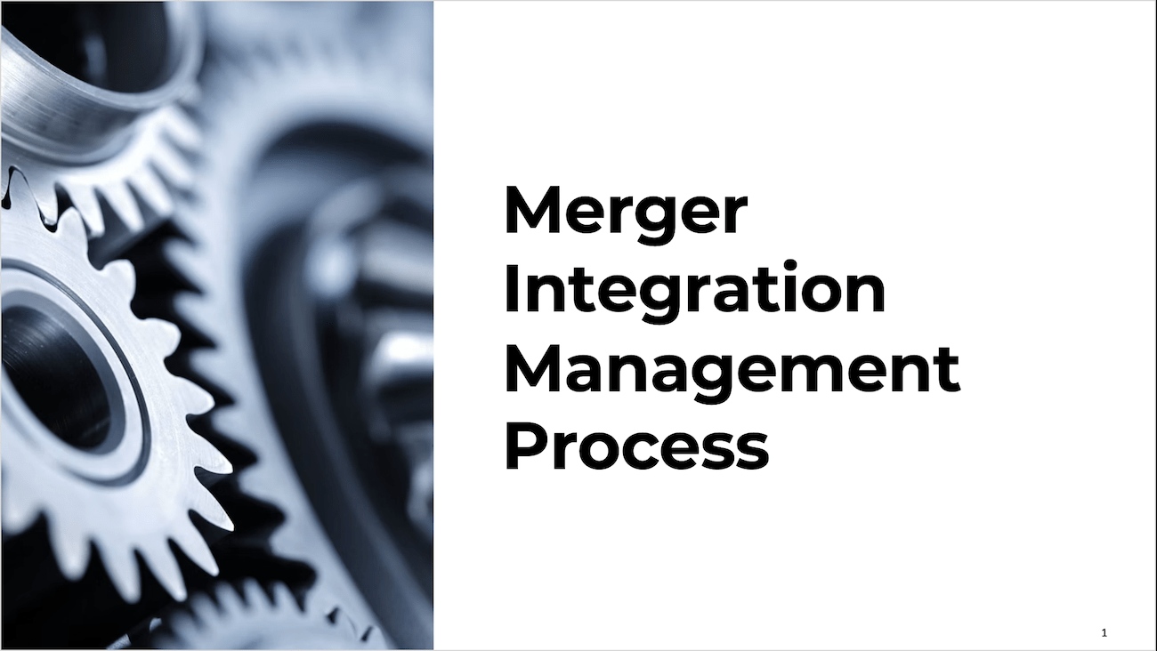 Merger Integration Management Process 
