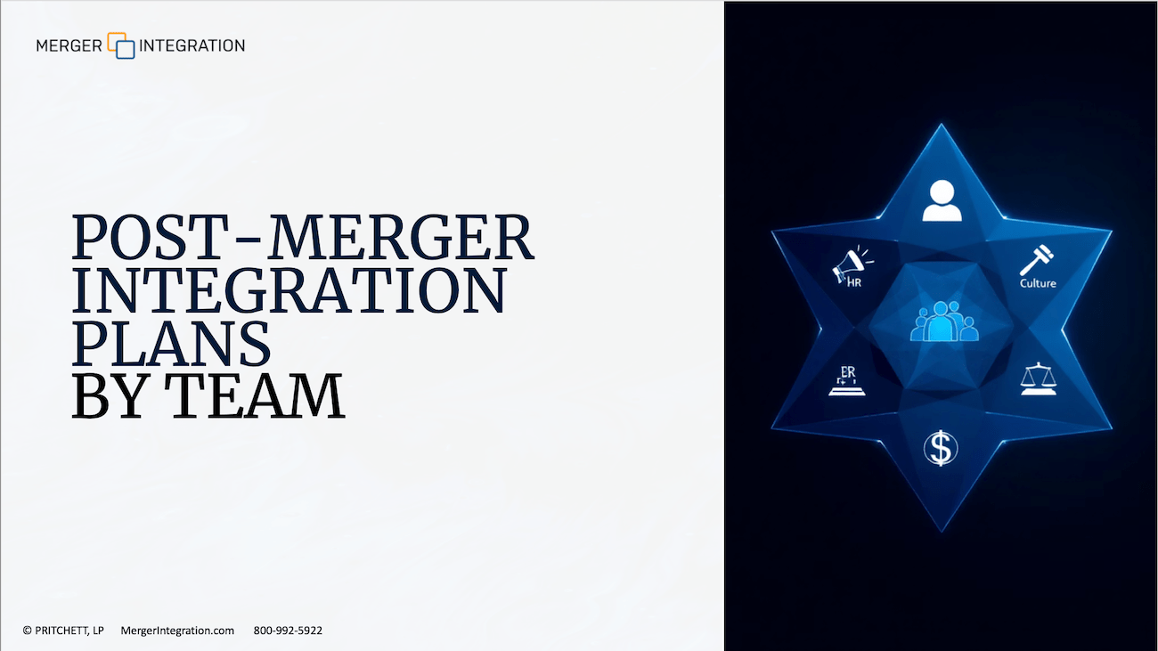 Post Merger Integration Plans by Team