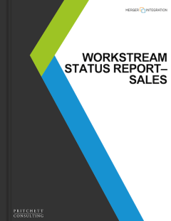 Workstream Status Report - Sales
