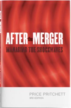 After the Merger: Managing the Integration