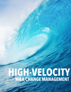  High-Velocity M&A Change Management