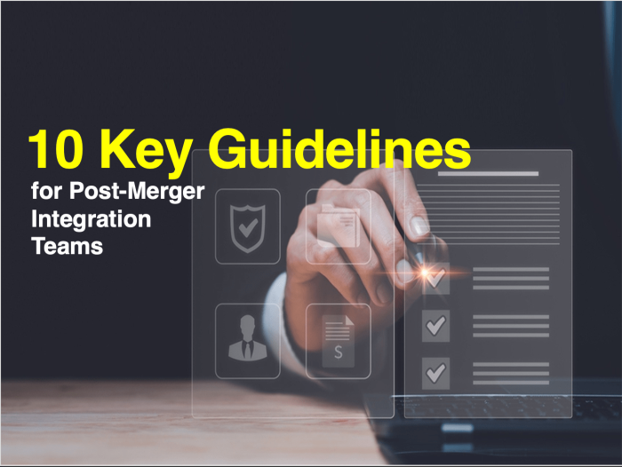 10 Guidelines for Effective Integration Teams