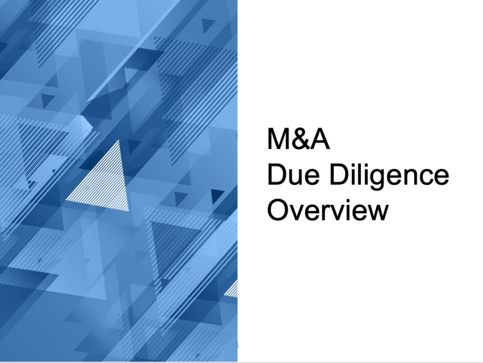 M&A Due Diligence Overview