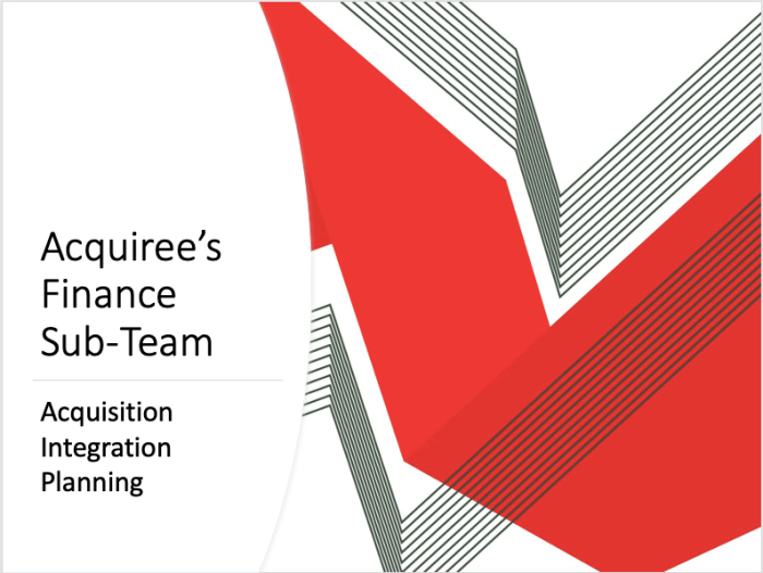Acquiree’s Finance Sub-Team: Acquisition Integration Planning