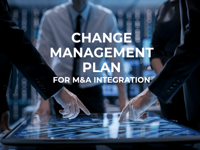 Change Management Plan for M&A Integration