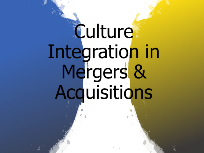 Culture Integration in Mergers & Acquisitions