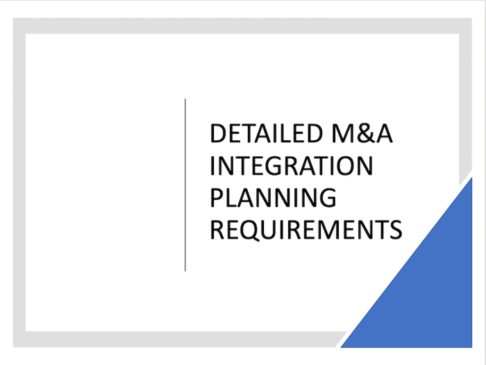  Detailed M&A Integration Planning Requirements