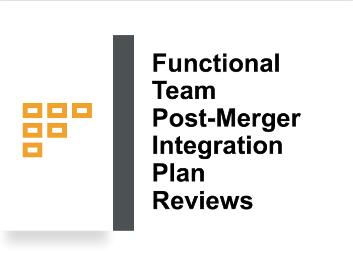 Functional Team Post-Merger Integration Plan Reviews