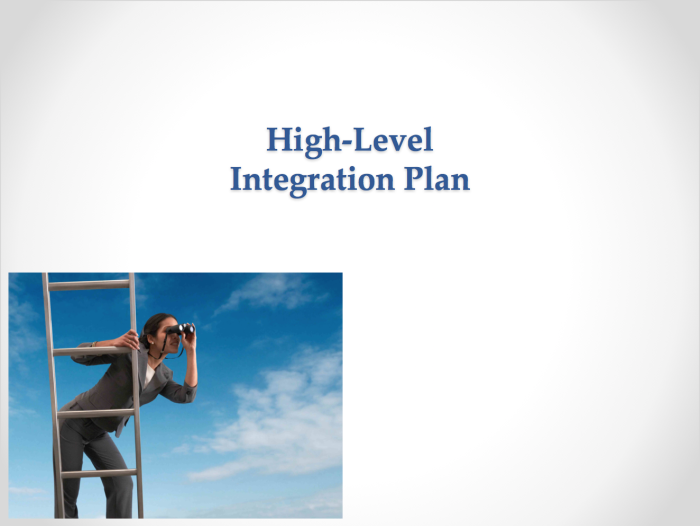 High-Level Integration Plan