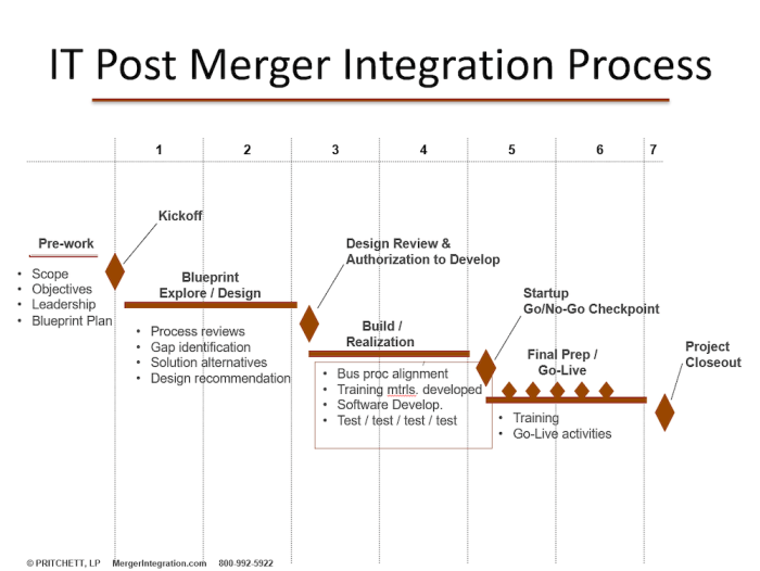 IT Post Merger Integration Process