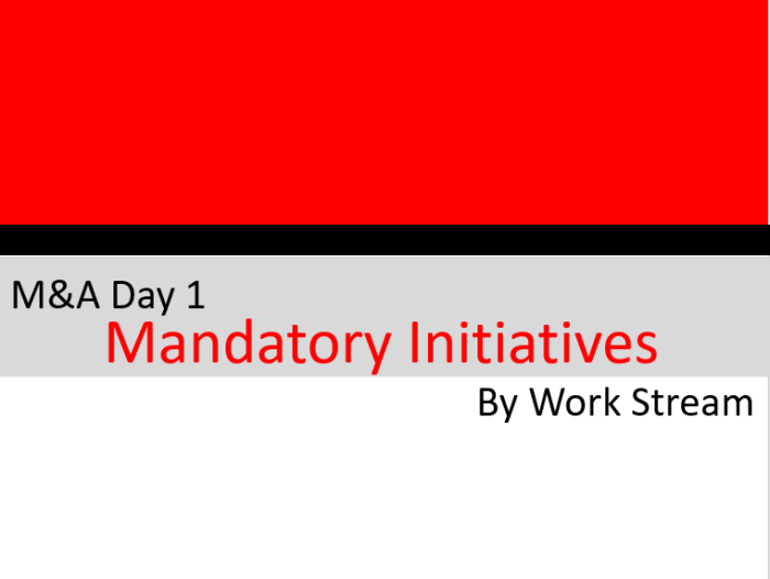 M&A Day 1 Mandatory Initiatives by Work Stream
