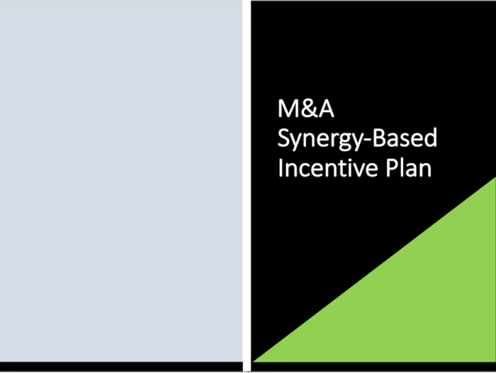 M&A Synergy-Based Incentive Plan