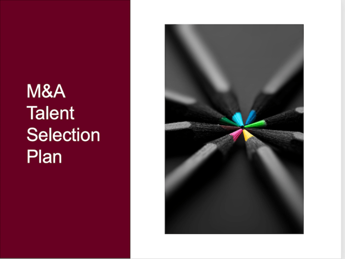 M&A Talent Selection Plan