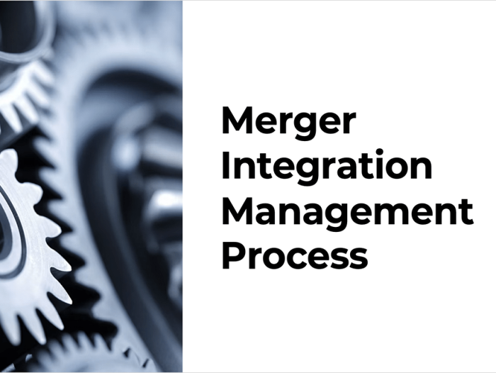 Merger Integration Management Process 