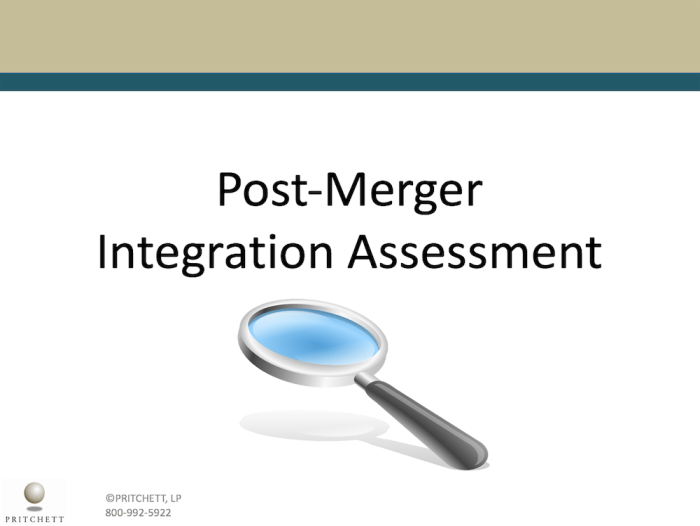 Post Merger Integration Assessment
