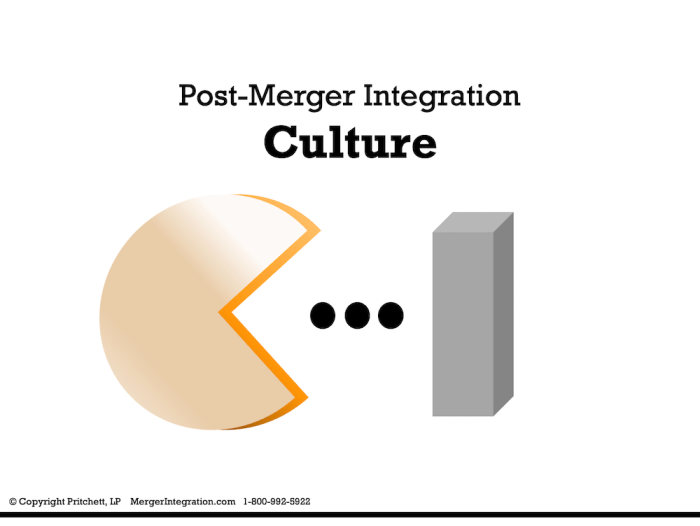 Post-Merger Integration Culture 