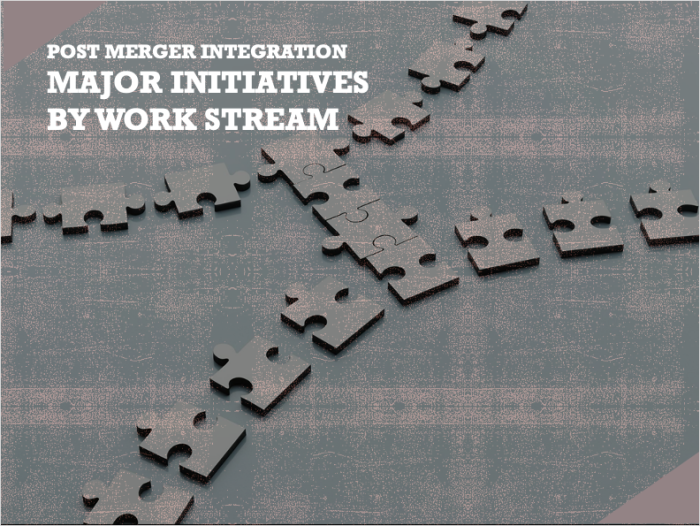 Post Merger Integration Major Initiatives by Work Stream