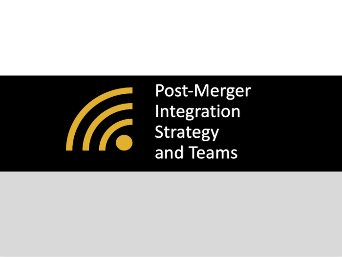 Post-Merger Integration Strategy and Teams