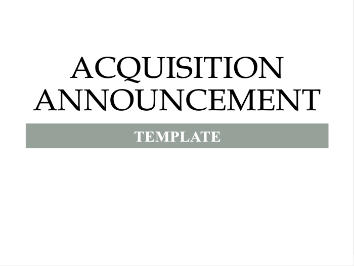 Acquisition Announcement Template