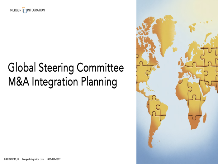 Global Steering Committee M&A Integration Planning