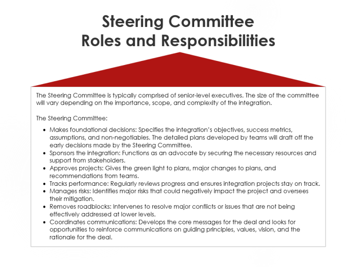 Steering Committee Roles and Responsibilities