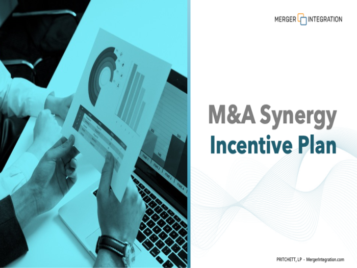 M&A Synergy Incentive Plan
