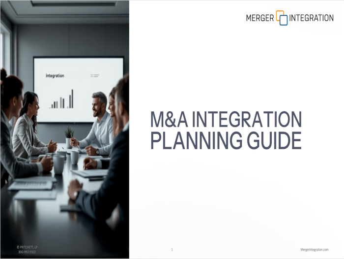 M&A Integration Planning Guide 