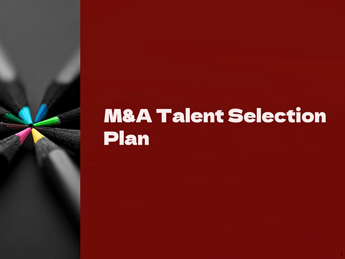 M&A Talent Selection Plan