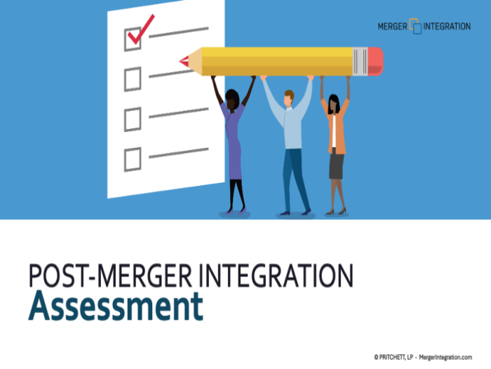 Post-Merger Integration Assessment