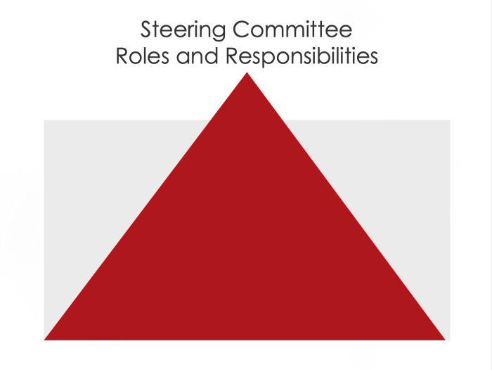 Steering Committee Roles and Responsibilities