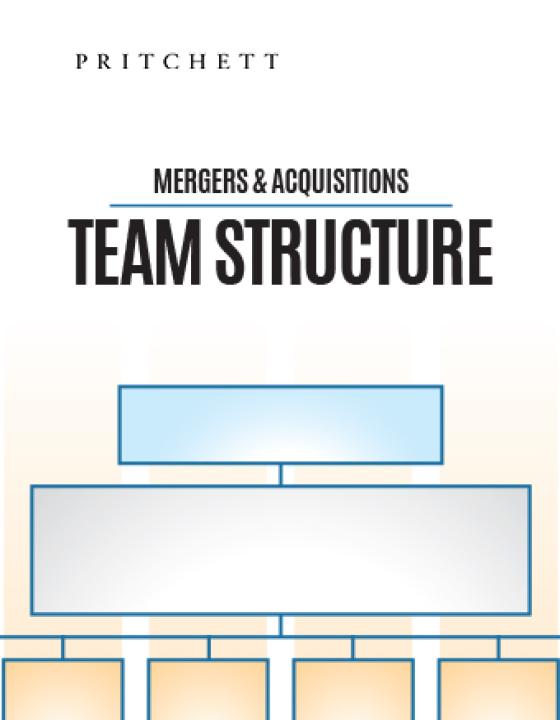 Mergers & Acquisitions Team Structure