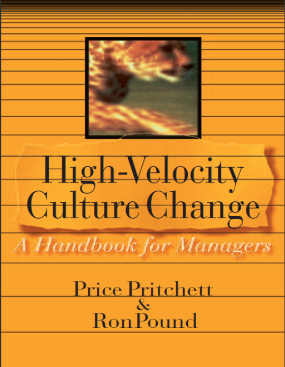 High-Velocity Culture Change
