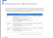Human Resource Plan - MBO's and Incentives