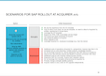 SCENARIOS FOR SAP ROLLOUT AT ACQUIRER (4/5)