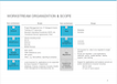 Workstream Organization & Scope