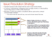 Issue Resolution Strategy