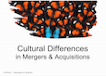 Cultural Differences in Mergers & Acquisitions