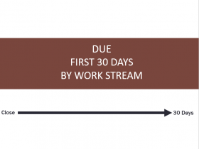 Due First 30 Days By Work Stream